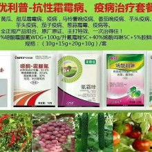 热门瓜报,热门瓜报大汇总