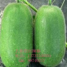 热门瓜报,热门瓜报大汇总