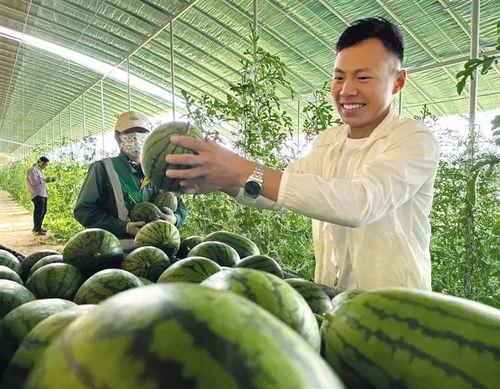 新瓜热门,揭秘网络热点的背后真相