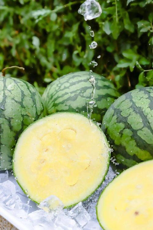 699.cu黑料吃瓜网,网络舆论背后的真相与争议