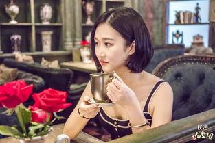 明星网红打卡河南,探寻中原古韵，共赏黄河风光