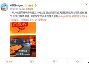 明星网红打卡河南,探寻中原古韵，共赏黄河风光