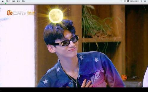 向明星网红致敬,向明星网红致敬的璀璨篇章