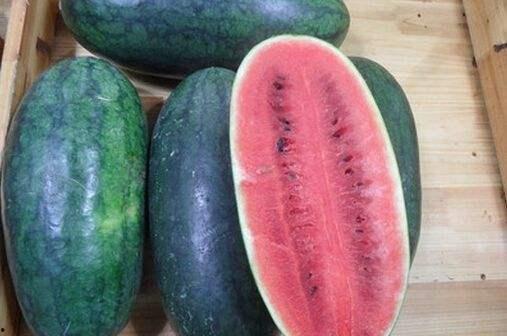 怎么下载黑瓜吃料网,尽享海量资源