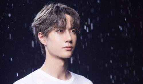 救援团队明星网红,携手共筑生命防线