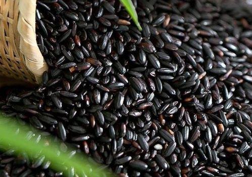 黃瓜同黑米可同时吃,健康饮食新搭配