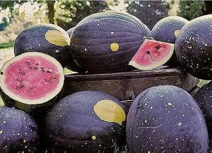 黑料吃瓜线路一二三,揭秘娱乐圈一二三事件真相