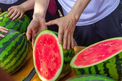 吃瓜爆料免费进学校,免费吃瓜爆料，解锁校园神秘生活