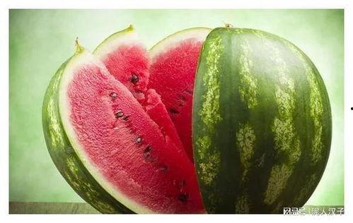 黑料吃瓜群秃崽,秃崽的崛起与风云变幻