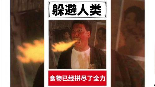 今日份吃瓜挑战全人类,今日份挑战全人类