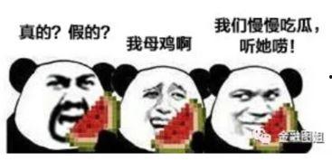 吃瓜爆料在哪里等你,吃瓜爆料，揭秘娱乐圈幕后等你揭晓