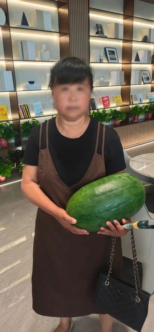 今日吃瓜肖静雯图片大全,肖静雯图片大全，带你领略明星风采