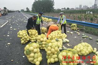许昌今日吃瓜最新消息,揭秘今日热点事件幕后真相