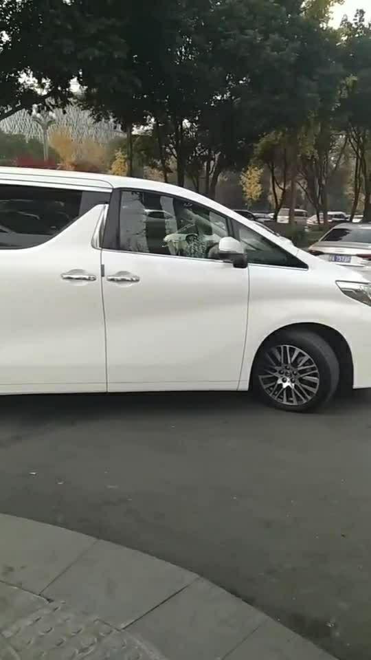 明星网红保姆车,奢华出行新潮流