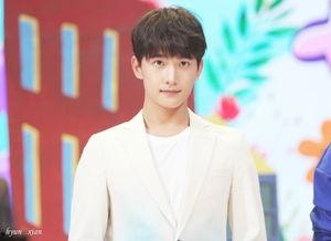 杨洋明星网红,从明星到网红，魅力四溢的跨界传奇