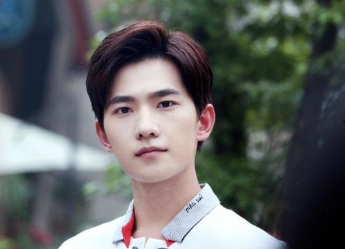 杨洋明星网红,从明星到网红，魅力四溢的跨界传奇