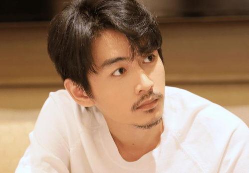 今日吃瓜陈晓谭松韵,娱乐圈新恋情曝光?