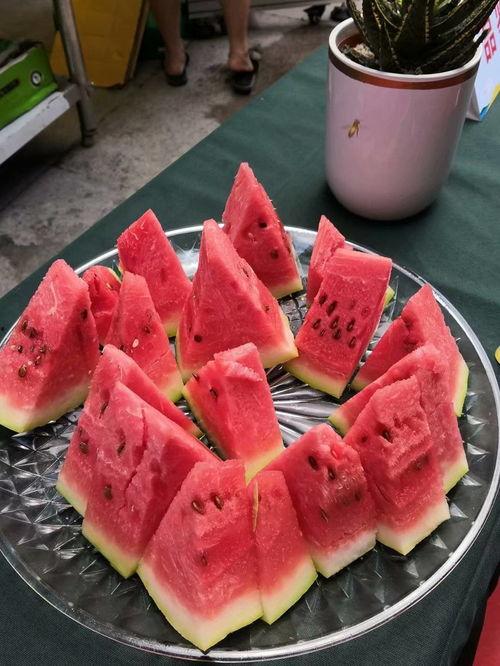 每日大赛51吃瓜黑料,揭秘娱乐圈背后的真相与争议