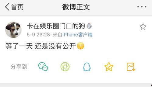 爆料吃瓜大学生,吃瓜大学生爆料的那些事儿