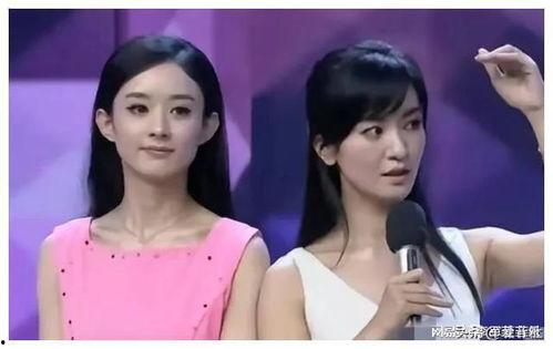 娱乐圈吃瓜爆料猪头特效